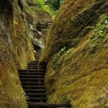 Διαμέρισμα Haus Zum Haiden