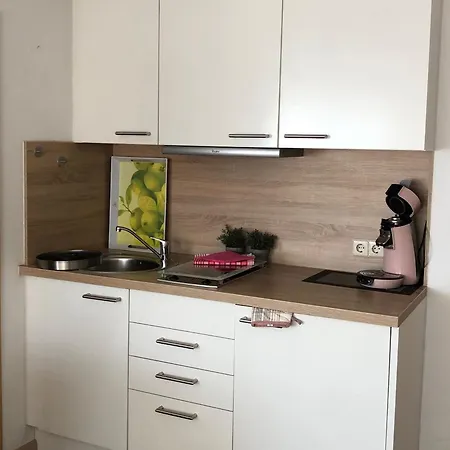 公寓 Haus Zum Haiden